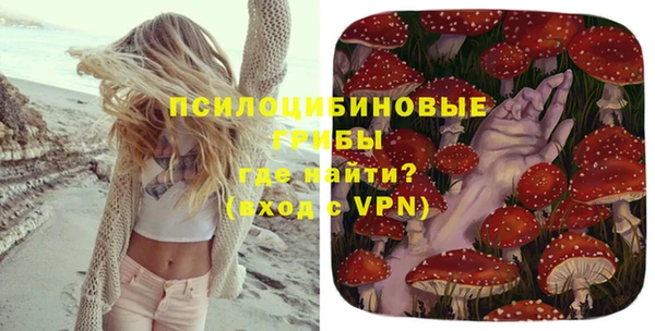таблы Алексин