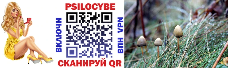 Галлюциногенные грибы прущие грибы  Ленинск-Кузнецкий 